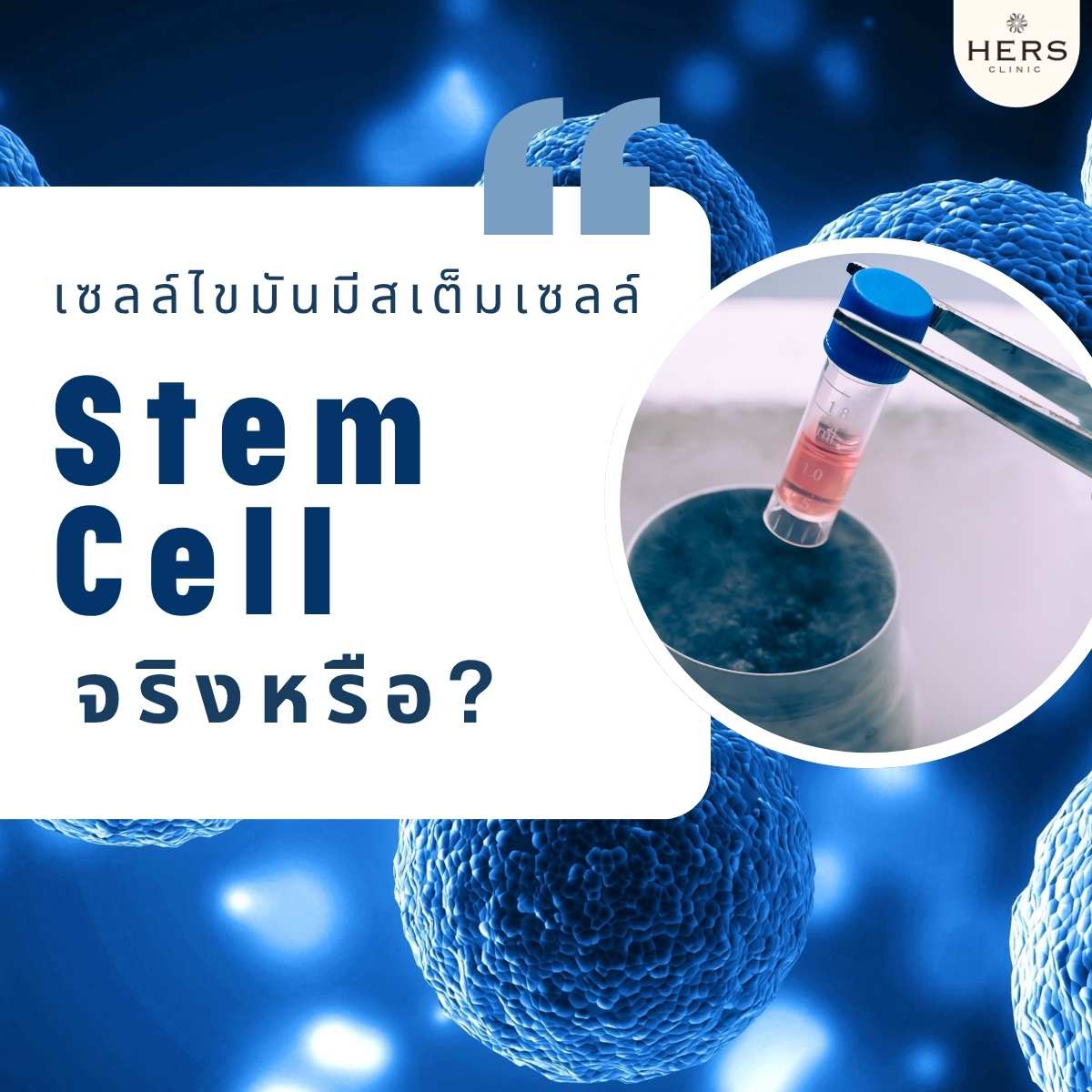 เซลล์ไขมันมีสเต็มเซลล์ Stem Cell ไหม